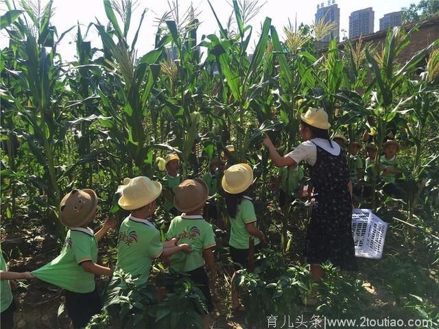 普惠性幼儿园，叫好又叫座——龙文实施普惠性措施，缓解幼儿园入园难入园贵