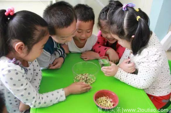 教育部最新通知！严禁幼儿园“小学化”！