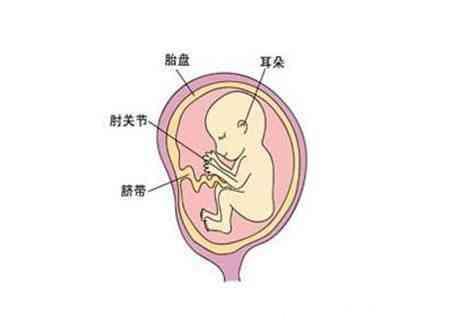 如果怀孕期间出现这四个表现，请一定保证营养