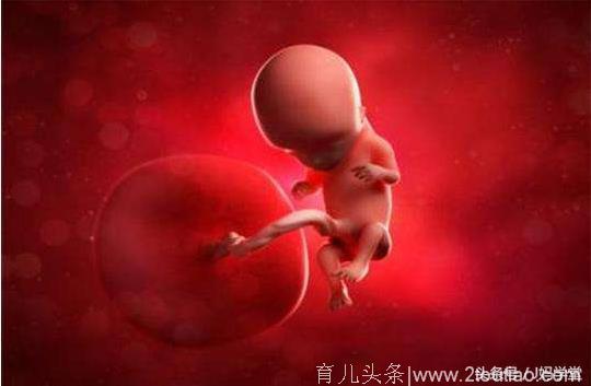 造成胎停育的原因就这两类，提前早知道好备孕！