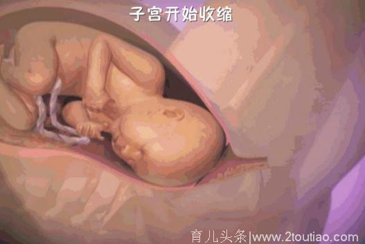 新生婴儿是怎么从那么小的口顺出来的，看完泪奔了！