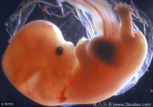 怀孕时的第一次胎动是什么感觉？