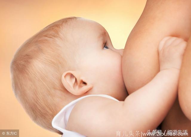 女人乳房大小对哺育婴儿有什么影响？