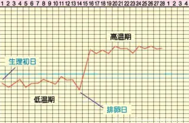 身体出现这3个“变化”时，你可能正在排卵，备孕女人别错过！