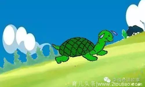 幼儿、儿童睡前故事：小乌龟爬山