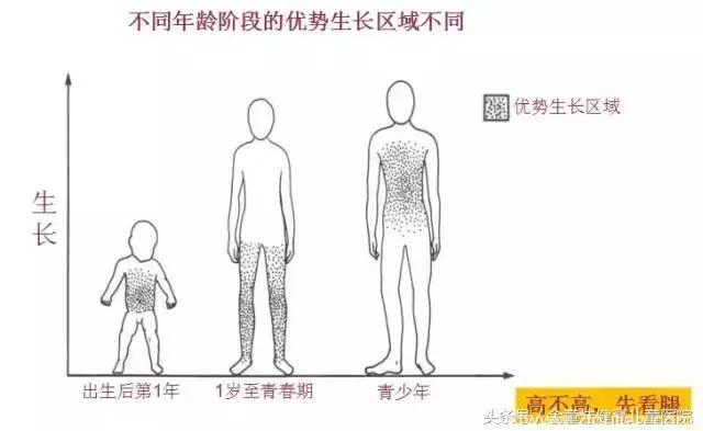 孩子身上的身高“生命线”，决定了最终能长多高，你知道吗？