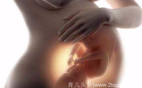 与胎儿一起分娩出来的胎盘，知否真的具有货真价实的营养价值？