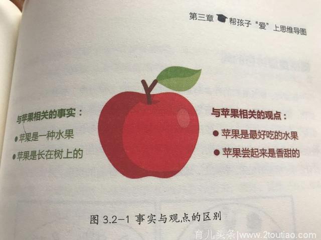 一支笔，一张纸，让孩子看见思维