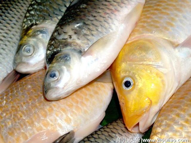 哪些鱼类适合孕妈吃？孕期孕妇又应保持怎样的饮食原则？