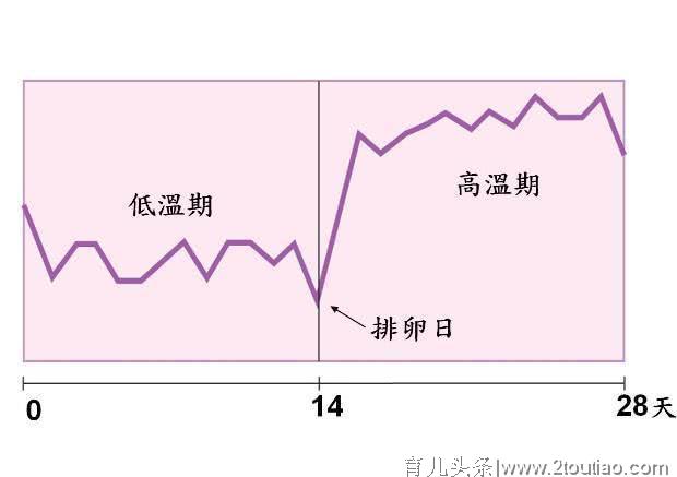 停经是怀孕的第一个信号吗？其实，这3个信号或许更早一些！