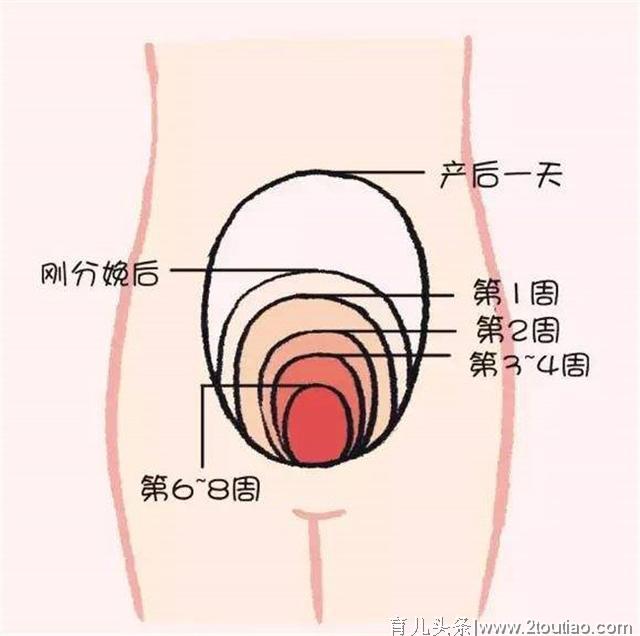 比起天天躺着不动，这么做才能加速产后恢复