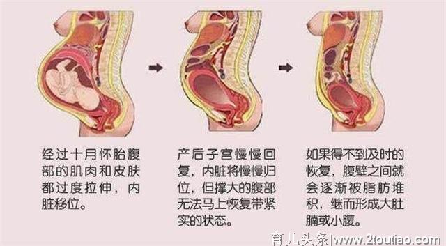 比起天天躺着不动，这么做才能加速产后恢复