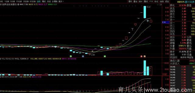 私立幼儿教育产业崩了，孩子终于能有更好的教育，家长也减负了！