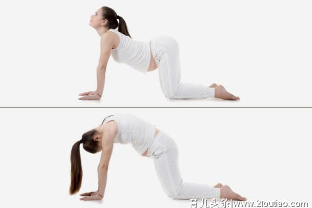 孕妇腰疼的3大原因，6个孕产瑜伽，轻松缓解孕妇腰酸背痛