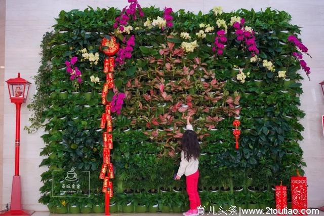 北京又多了几个网红墙！带娃零距离感受ins风，还可以泡亲子温泉