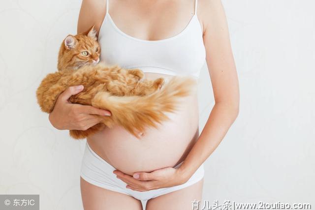 孕妇怀孕以后到底能不能养宠物？这个谜底该揭开了！