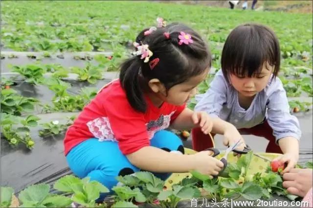 亲子农业在中国未来的发展前景