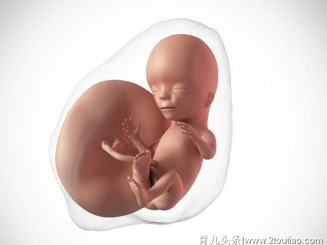 孕期，关于唐氏筛查的这3个问题，孕妈提前了解会更好！