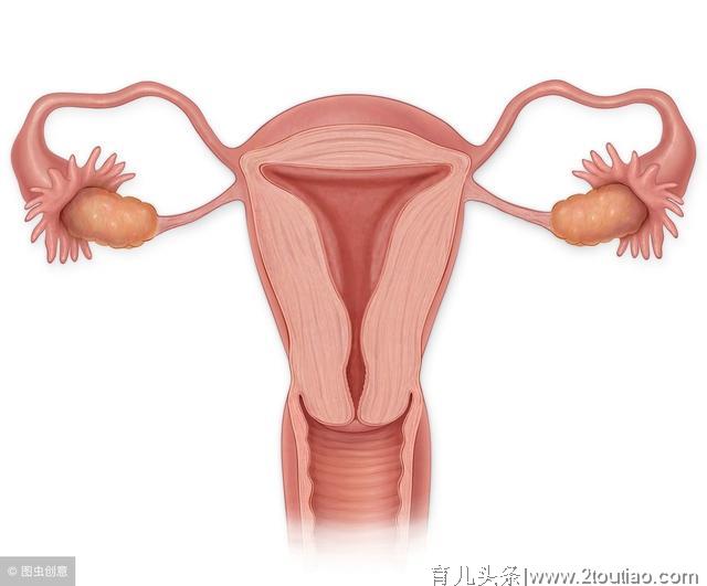产后子宫脱垂有哪些症状