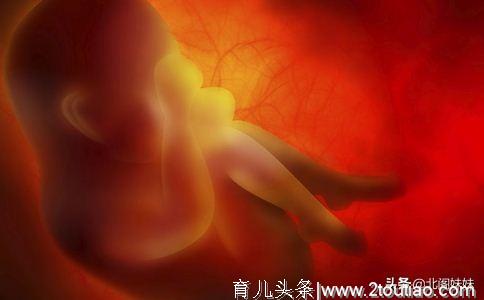 孕期胎儿能否拥有“大长腿”，可能和什么有关系？不止是遗传