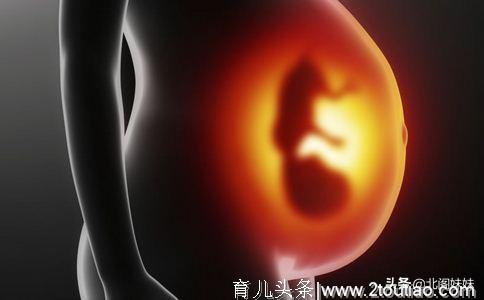 孕期胎儿能否拥有“大长腿”，可能和什么有关系？不止是遗传
