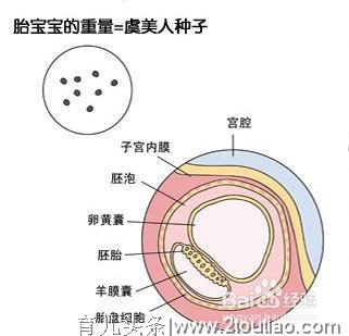 你知道自己怀孕了吗？怀孕第一个月胎儿和准妈妈的症状