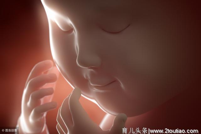 怀孕多久会有胎动，什么时候胎动最频繁？3种情况详解胎动规律