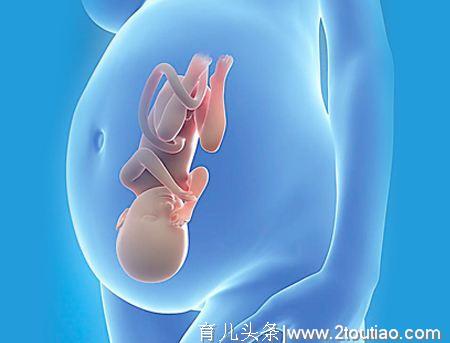 原来胎儿性格好不好，孕期中就可以看出来了，这些信号孕妈看懂没