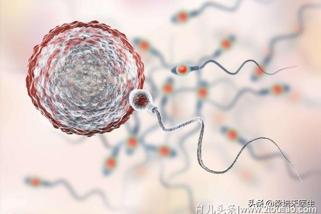 别把备孕当成妻子一个人的事——说说男同胞们该如何备孕