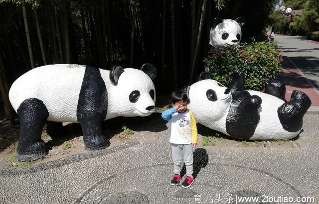 作为家长你要知道，经常带着孩子来场亲子旅行，好处多多