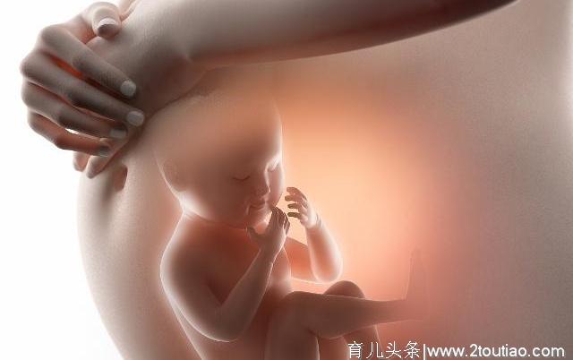 孕期做胎心监护时，孕妈需要注意这些细节，胎宝宝也许会更配合你