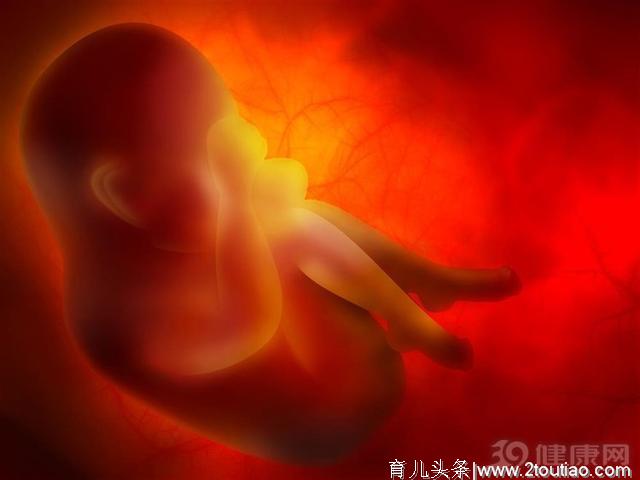 胚胎会停育？其实是一种流产！这六个原因暗藏很深！