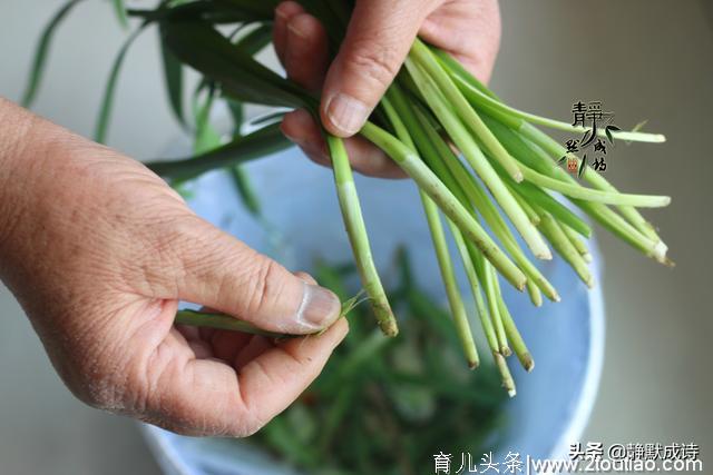 每到惊蛰，母亲必做这饼，馅鲜美防春困，几十年了都吃不够