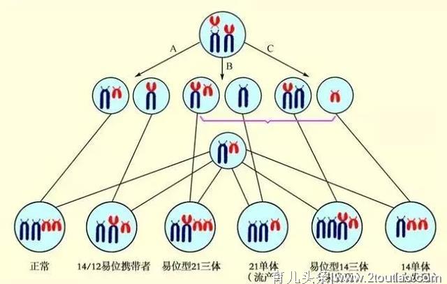 名医科普 | 面对复发性流产——了解真相、破除迷思