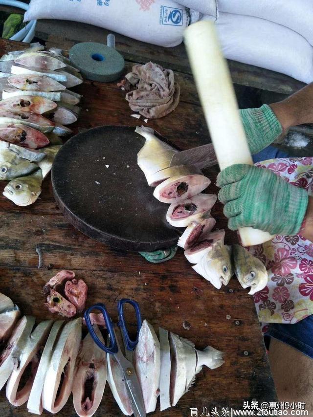 要吃海鲜到湛江，湛江人最喜欢用五花肉焖它，没有任何技巧家乡菜