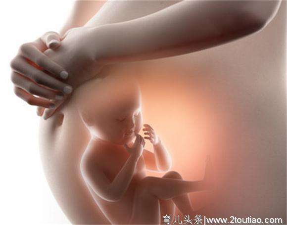 孕期同房，胎宝宝为什么会动来动去？看完之后孕妈可以放心了