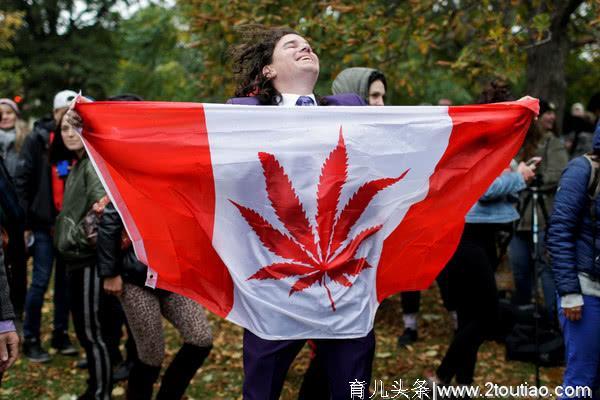 加拿大大麻合法化，专家警告父母“二手麻”影响儿童健康