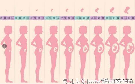 怀孕后身体发生的这些变化，没有怀孕的人一定是不相信的？