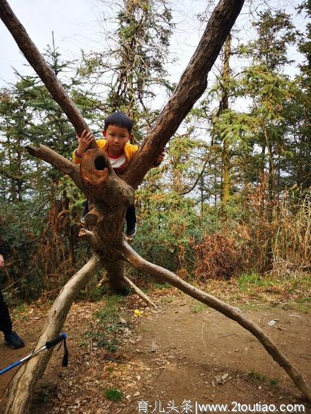 第一次亲子登山游，恭喜：四岁零五十天爬上人生的第一个小山坡