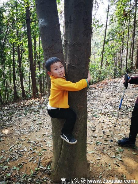 第一次亲子登山游，恭喜：四岁零五十天爬上人生的第一个小山坡