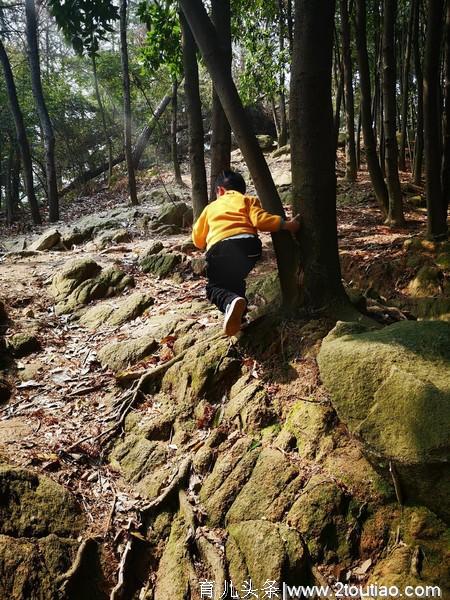 第一次亲子登山游，恭喜：四岁零五十天爬上人生的第一个小山坡