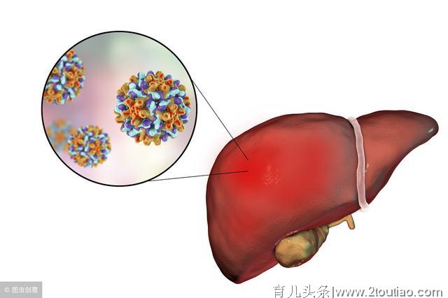 医生提醒：乙肝病毒携带者，这3个时间段不宜怀孕！怀孕做好一切准备