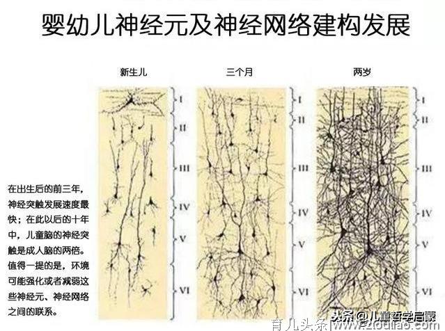 养育孩子究竟难在哪里？看清这个事实，你和孩子的人生或许会开挂