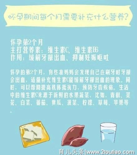 怀孕期间每个月需要补充什么营养