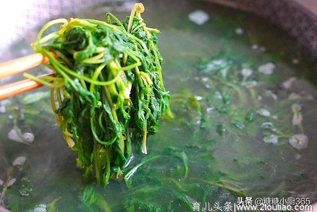 这野菜又是药草，清明前美味又鲜嫩，加糯米粉烙一烙，一盘不够吃