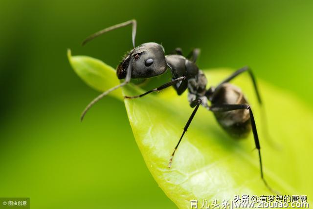 孩子是父母的一面镜子，也是检验父母水平的最好标尺