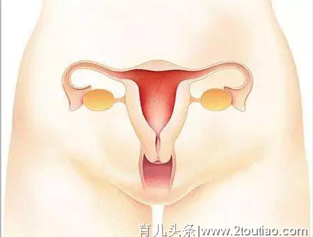 宝妈必看、产后42天，子宫怎么恢复