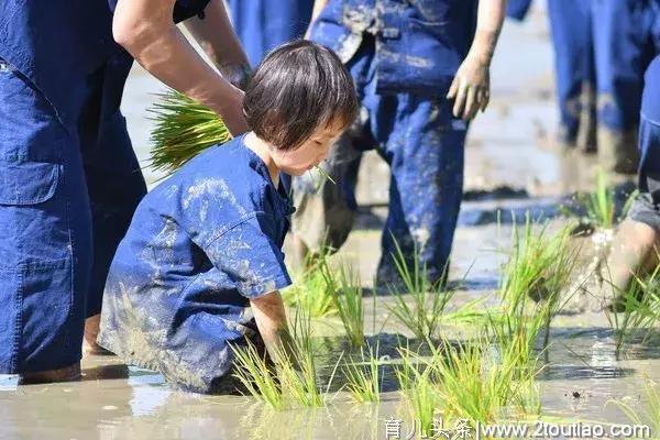 泰国亲子农场为如何成为网红？这里有3大秘诀