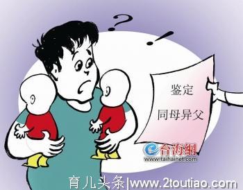 对双胞胎，竟然同母异父！一纸亲子鉴定结果让他傻了眼