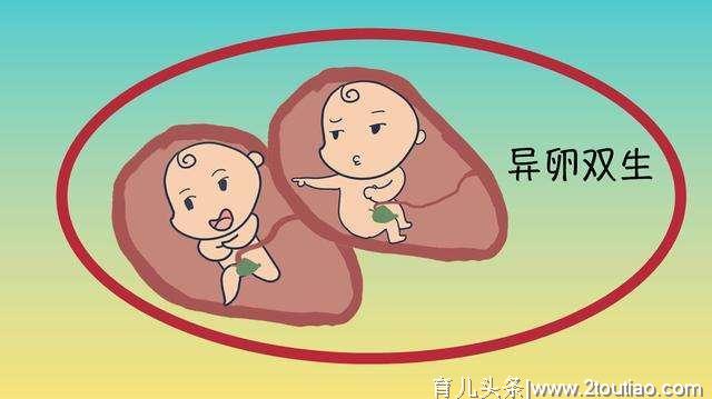 孕妇怀了双胞胎，他们的爸爸不是一个人？异卵双生就是百万分之一